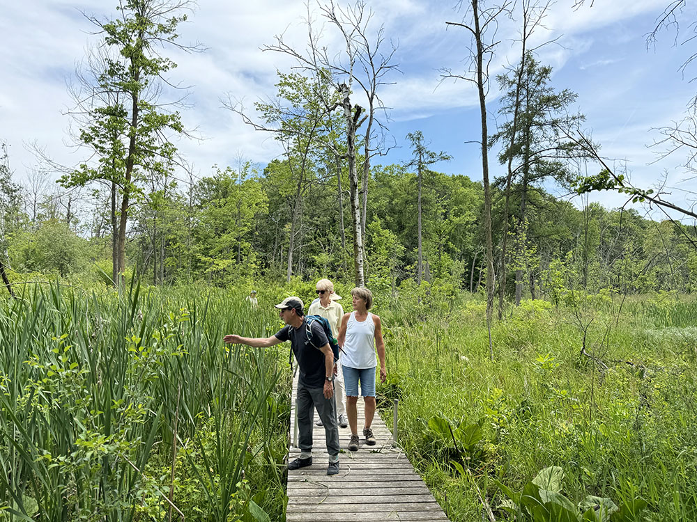 A group of Urban Wilderness Explorers crossing a wetland on a boardwalk at Lac Lawrann Conservancy in West Bend.