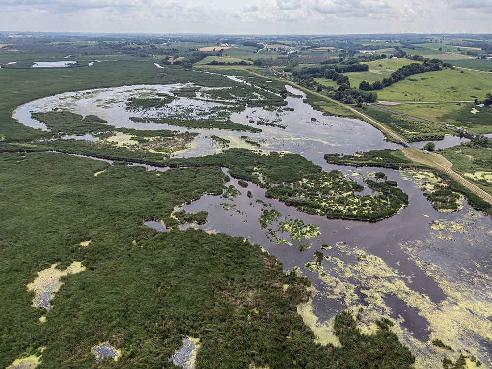 At 5,500 acres Theresa Marsh Wildlife Area probably would be far more well known if it weren't so close to its famous neighbor, Horicon Marsh. Half of Theresa Marsh is at the northwest corner of Washington County, the other half in Dodge County.