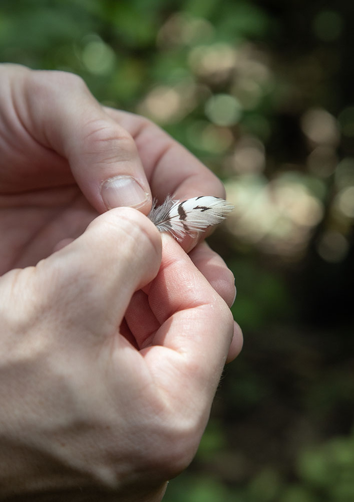 Ben examining a tiny feather found along the trail.