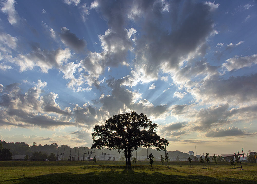 Sunrise! Hart Park, Wauwatosa