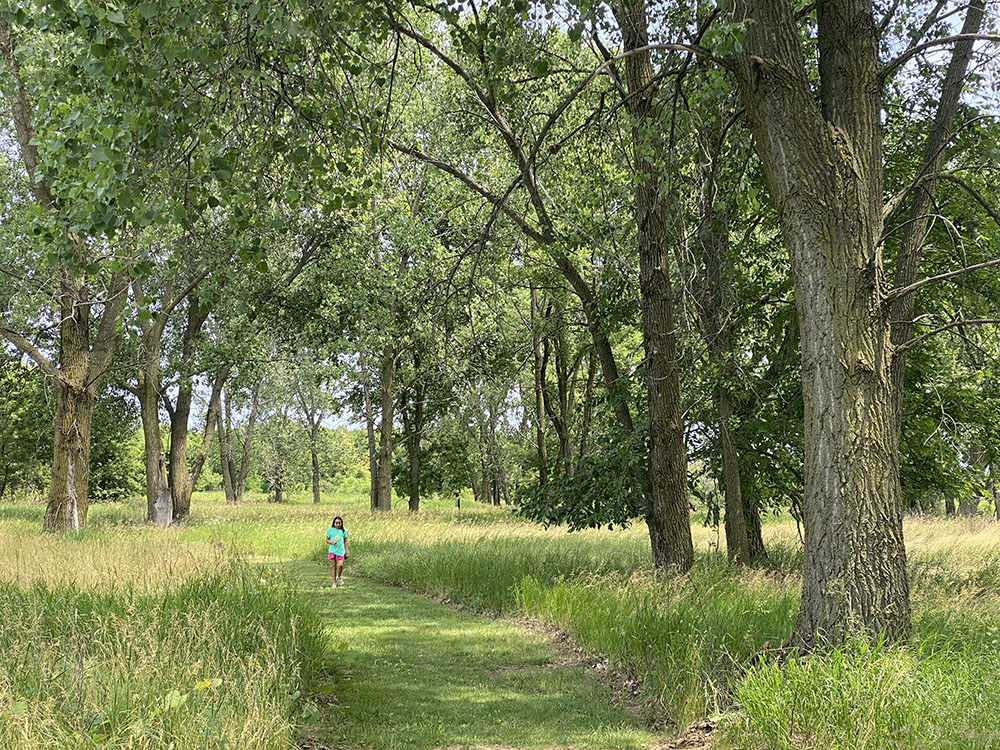 Did you know the WIDNR has two forest properties in Milwaukee County? 237-acre Havenwoods is the only urban State Forest in Wisconsin. 