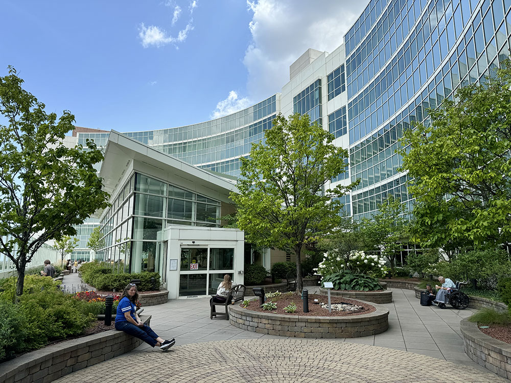 Trees are not only good for the environment overall, they also are beneficial to human health and well-being, as indicated by this roof-top example of a "Healing Garden" on the 8th floor of St Luke's Hospital, Milwaukee.