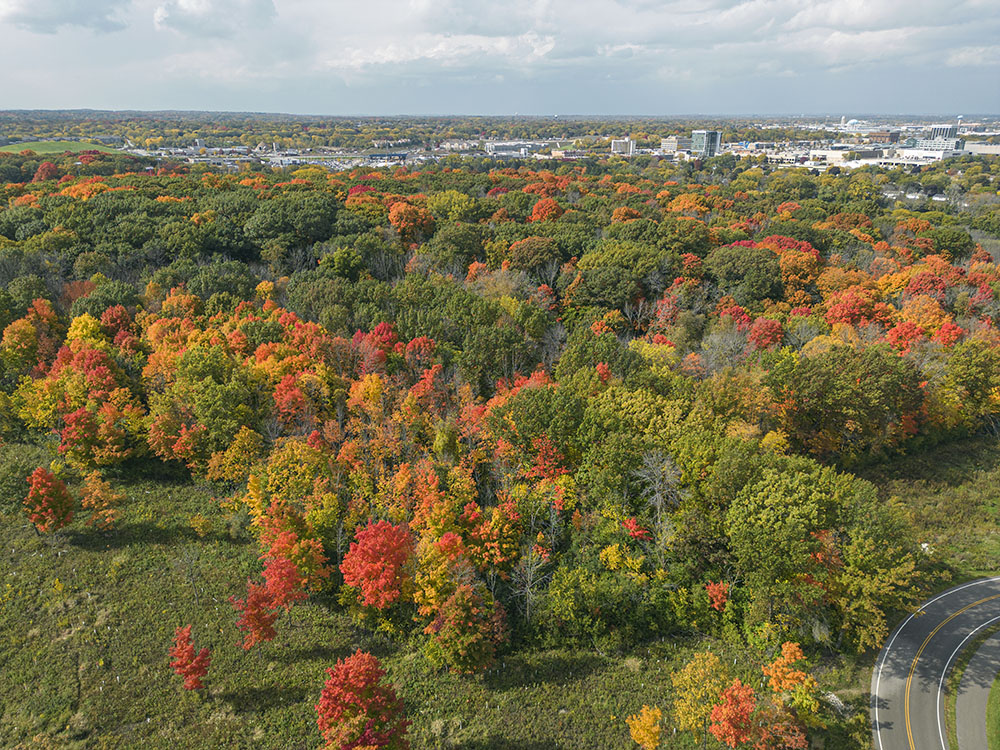 This 67-acre hardwood forest, formerly known as Wil-O-Way Woods, is now maintained in partnership with the DNR by the nonprofit Forest Exploration Center. It is a portion of the Milwaukee County Grounds, Wauwatosa.