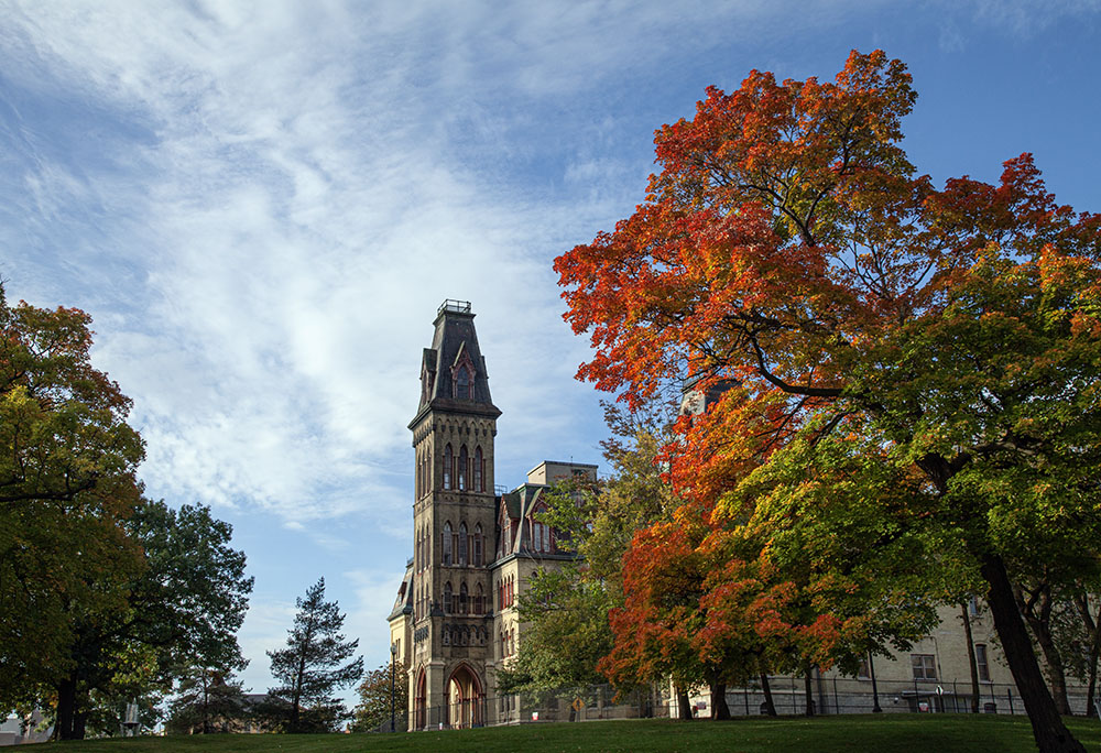 The historic 90-acre grounds of the Milwaukee Soldiers Home includes centuries-old trees, some of which pre-date European settlement.