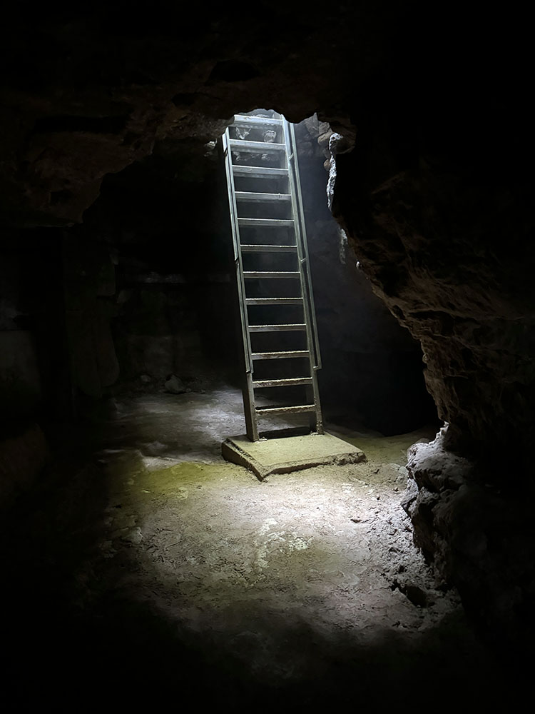 One of two back doors to Carolyn's Caverns with a ladder access.