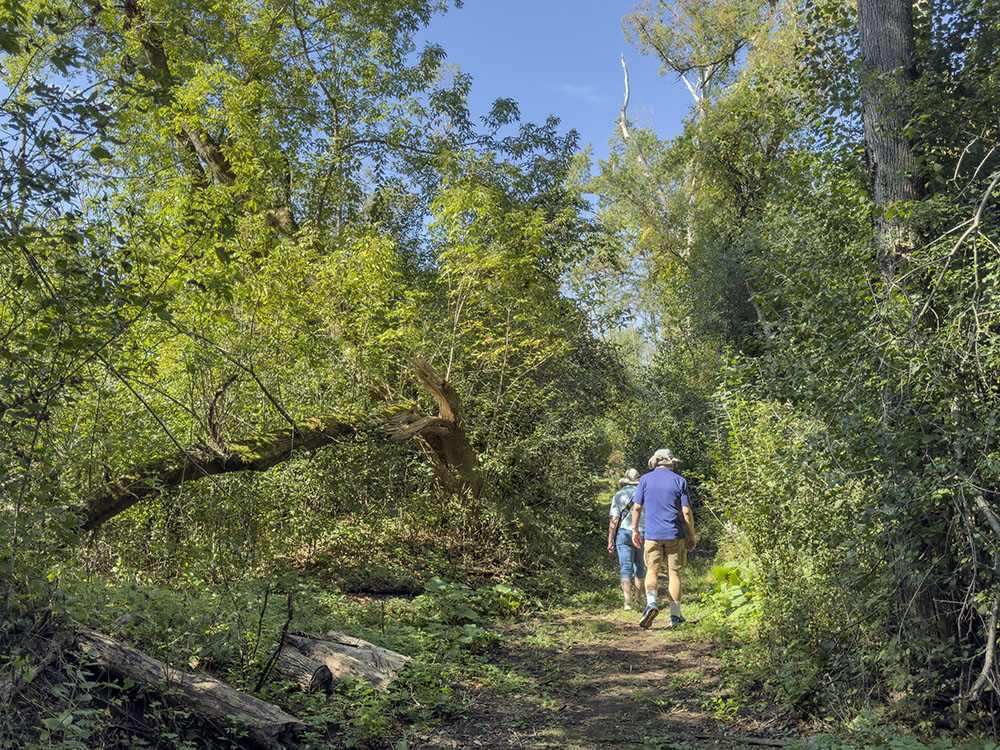 Treasures of OZ visitors hiking the red trail loop.