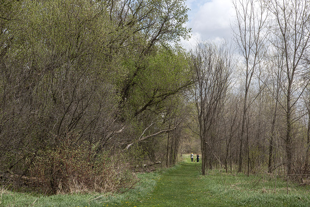 Dog walkers on pond trail in spring.