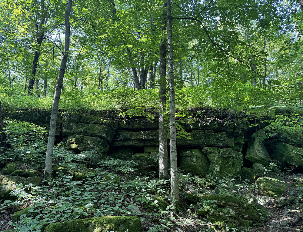 A rare east-facing outcrop of the Niagara Escarpment.