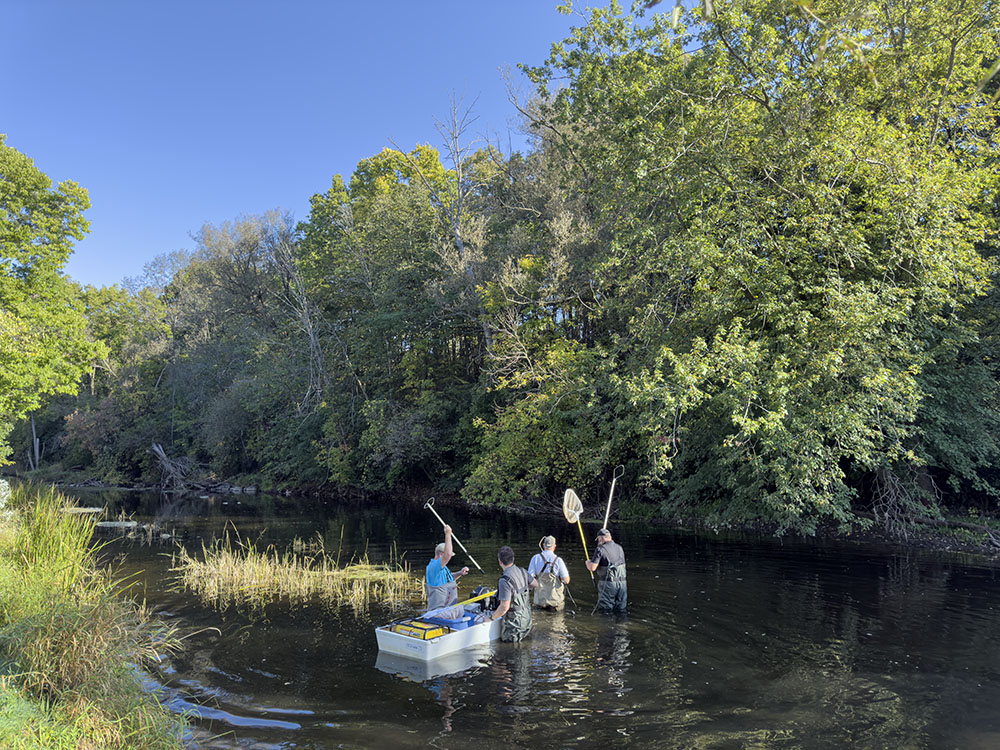 The electrofishing team setting out on Cedar Creek.