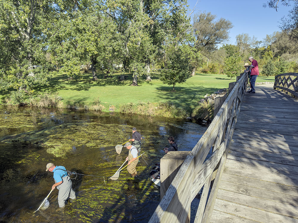 Spectators observe the electrofishing team from the pedestrian bridge. 