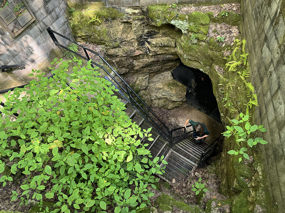 Steep, ladder-like stairs required going down backwards.