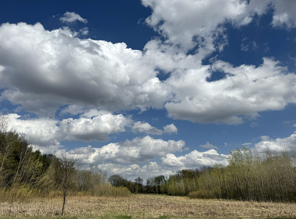 Meadow and sky!