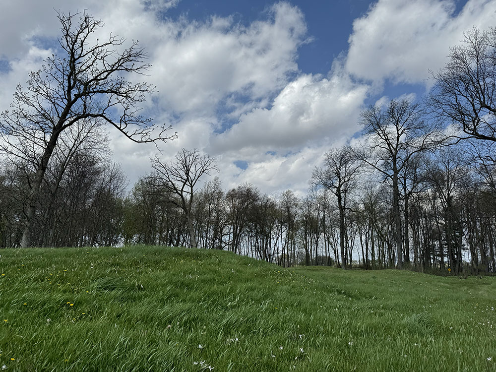 A view of a mound from the trail showing its modest height.