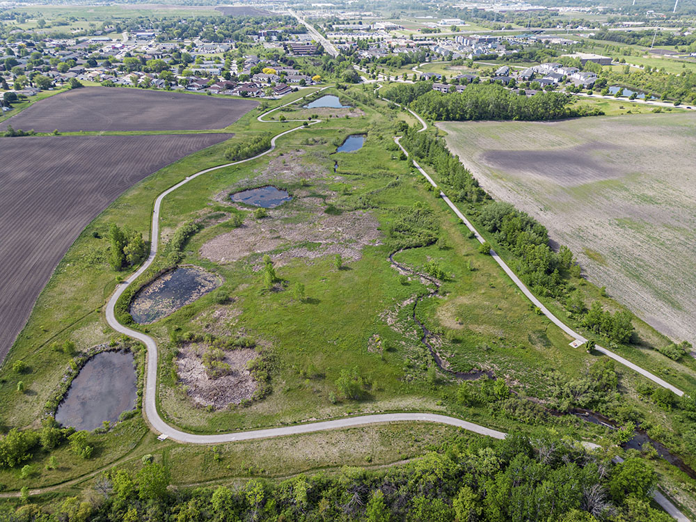 A aerial view showing the Pike River Pathway loop around a large area of restored wetlands.