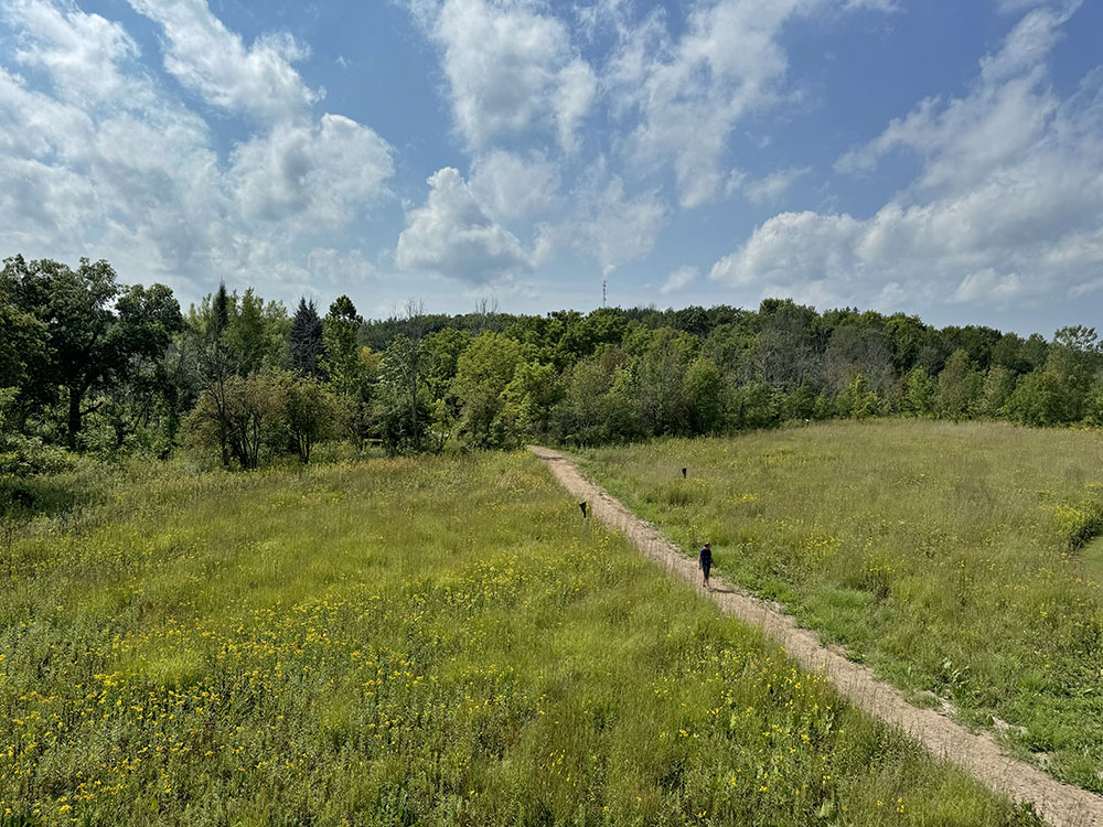 A solitary hiker on the prairie path, seen from the observation tower.