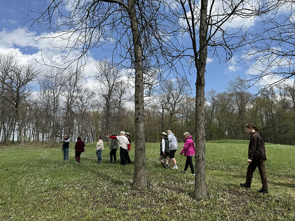 The tour group walking between mounds dotted with trout lilies.