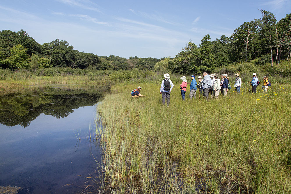 Walking in a calcareous fen beside the Mukwonago River.