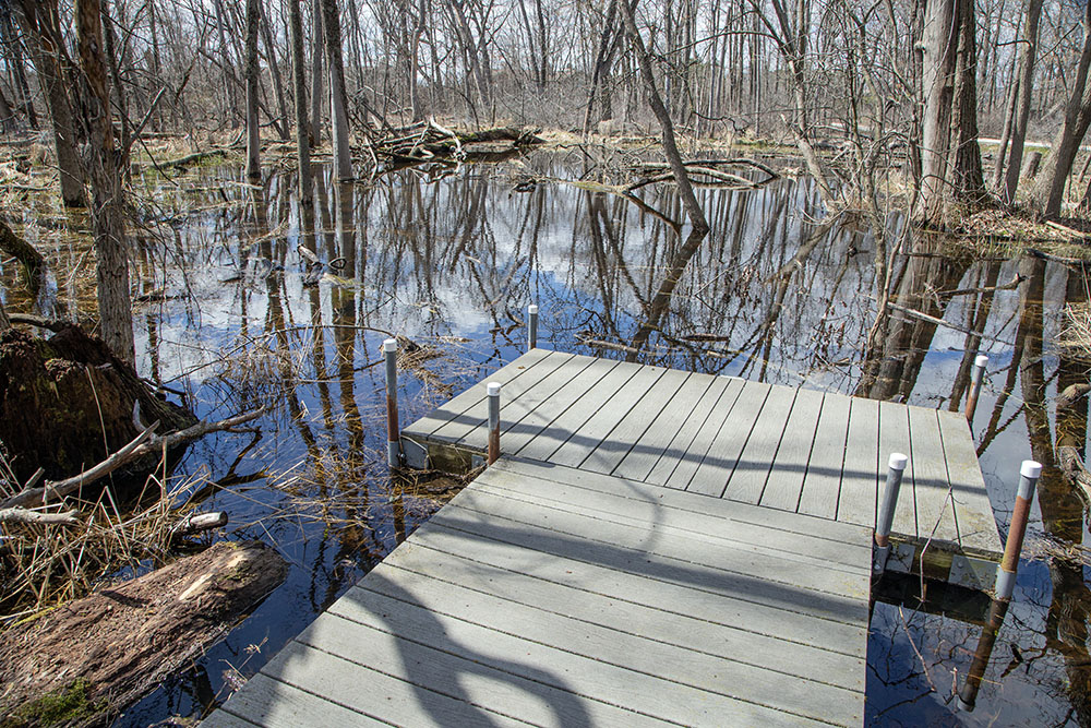 The same ephemeral wetland in April before my accident. ED