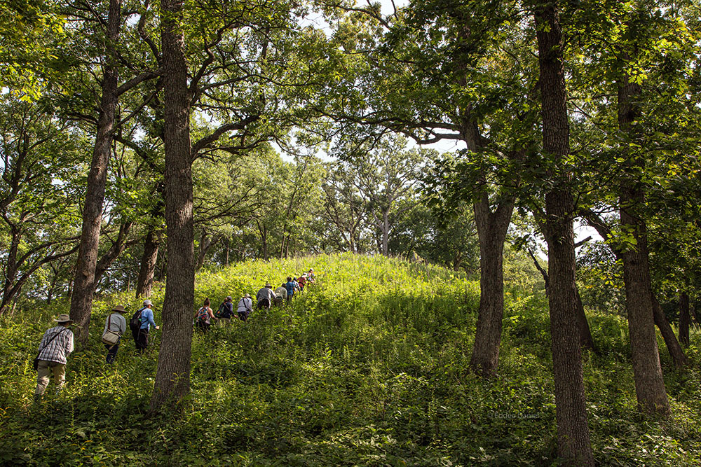 Group hiking in an oak savanna on glacial terrain.