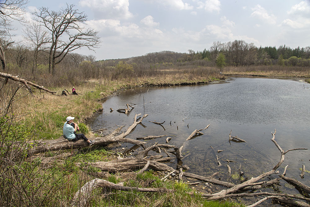 Idyll at the spring/headwaters of the Mukwonago River.