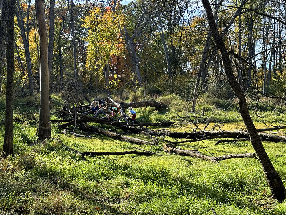 Kids playing in the (dry) ephemeral wetland. ED