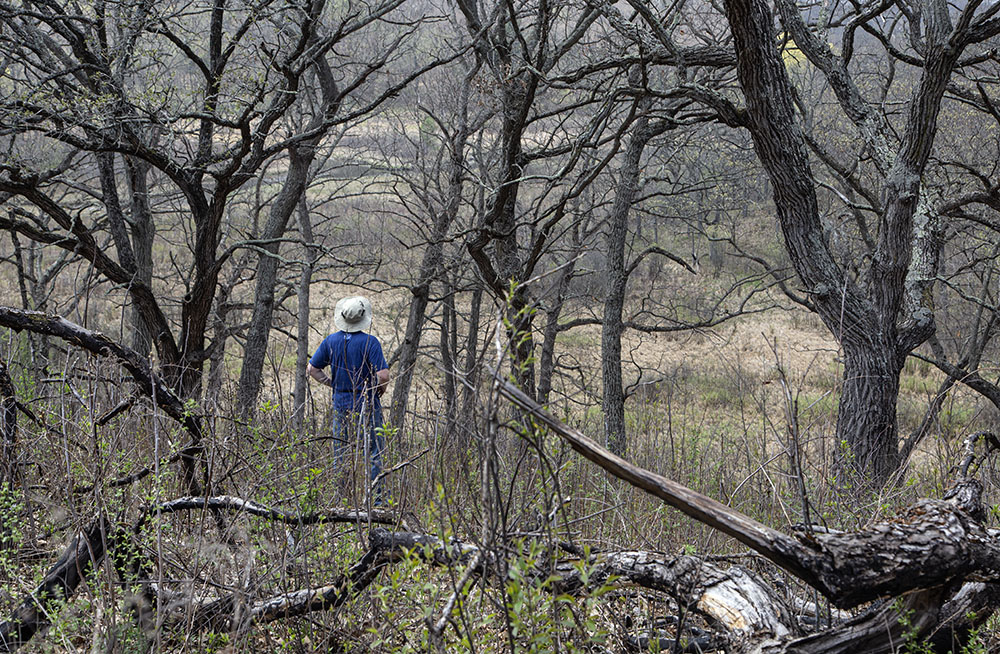 Meditation on Wilderness.