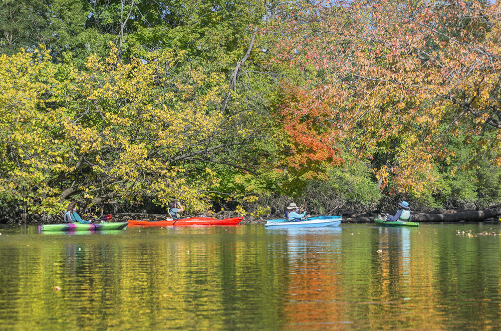 A colorful scene!