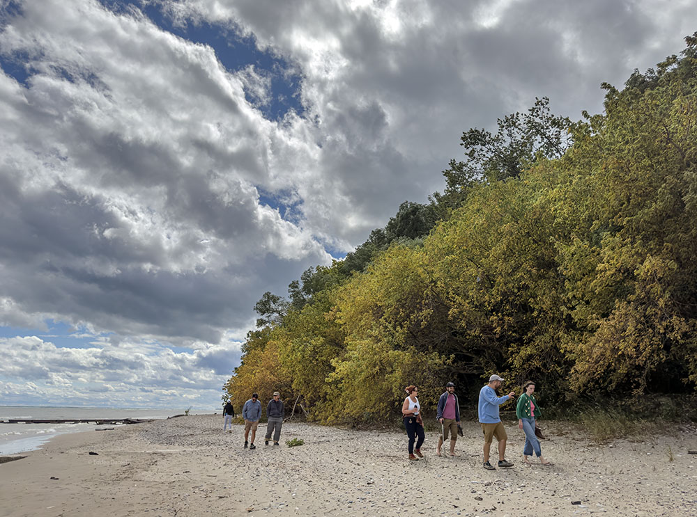 A mild day in September proved ideal for a walk on the beach!