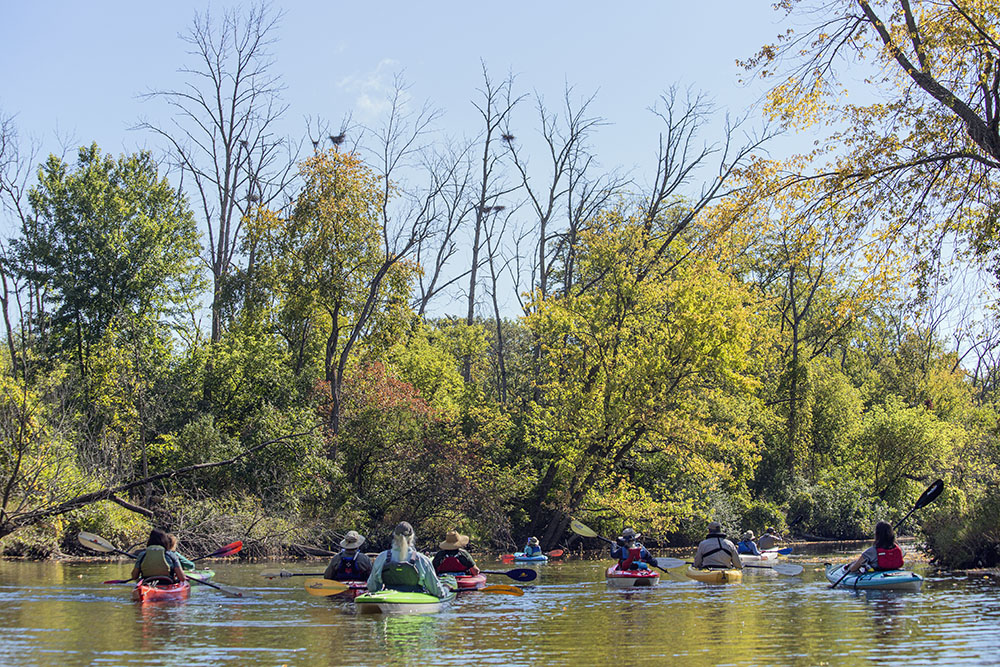 The group passes by a heron rookery.