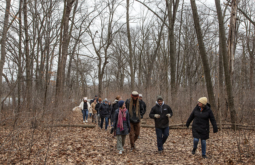 The Forked Aster Trail in Jackson Park.