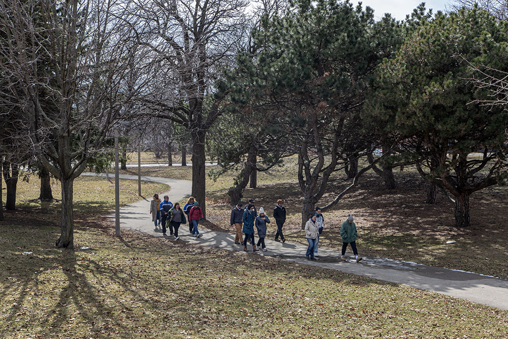 The group walks along a tree-lined path in a corner of the park.