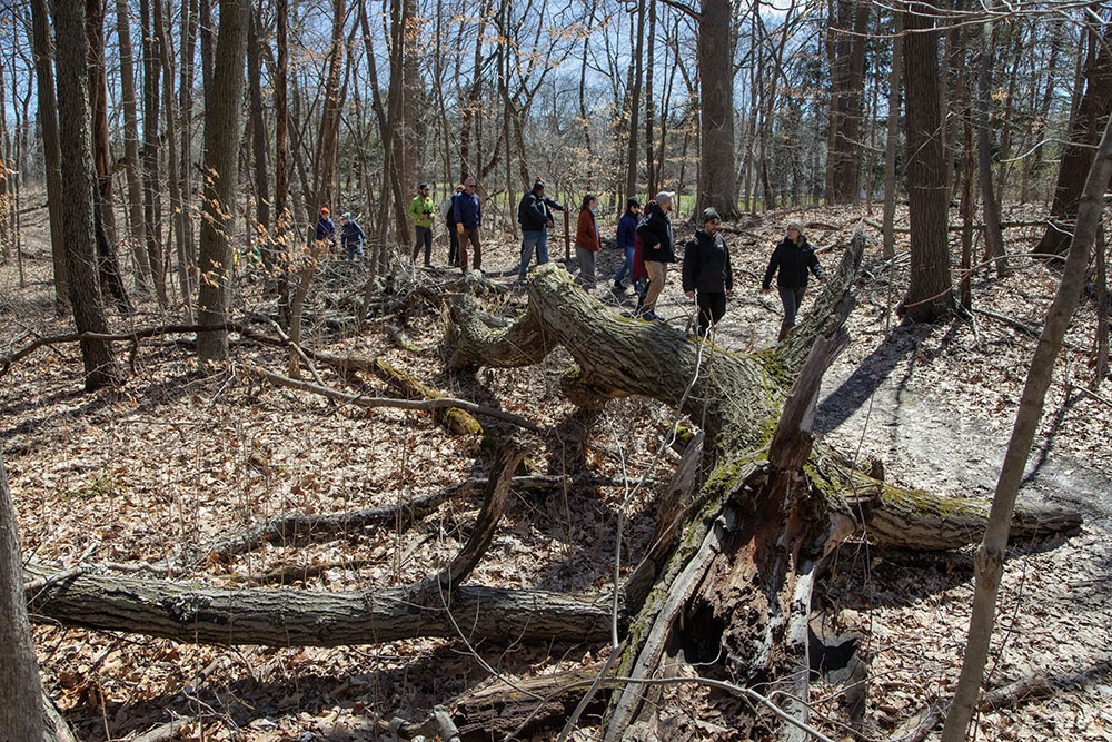 The group walking on one of the network of hiking trails in the woods.