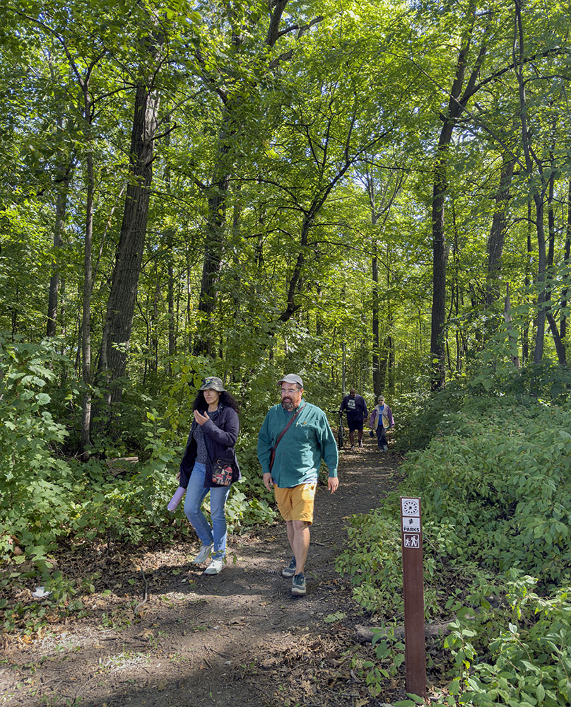 The Forked Aster Trail in McGovern.