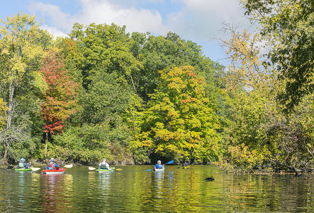 Autumn Splendor!