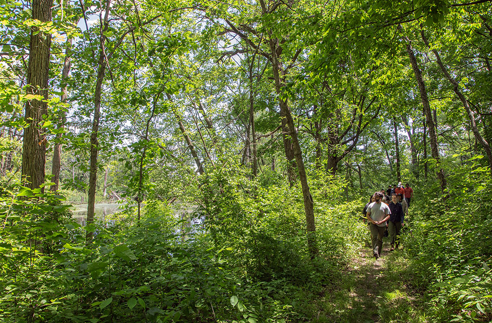 The group walks along a woodland trail next to a pond in the 22-acre "nature study area" that makes up the western third of the park.