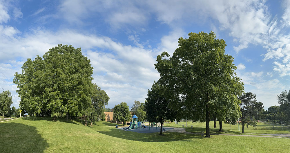 Rose Park panorama