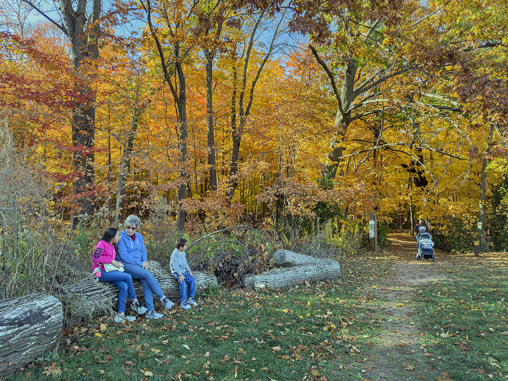 A rest stop before entering the forest.