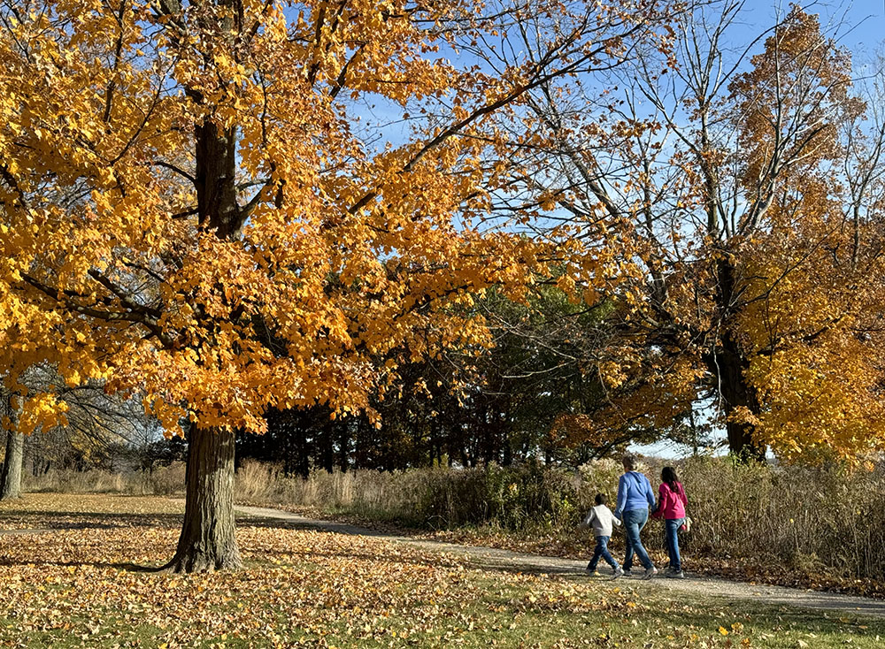 Plenty of autumn color to brighten up our homeward trek around the basins.