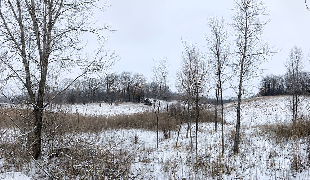 This is a hidden gem, almost literally. The Ten Chimneys Nature Trail has signage and a parking lot, right next to the historic estate and museum in Genesee Depot, but it is not listed on our Find-a-Park map by request, so that doesn't become well known.