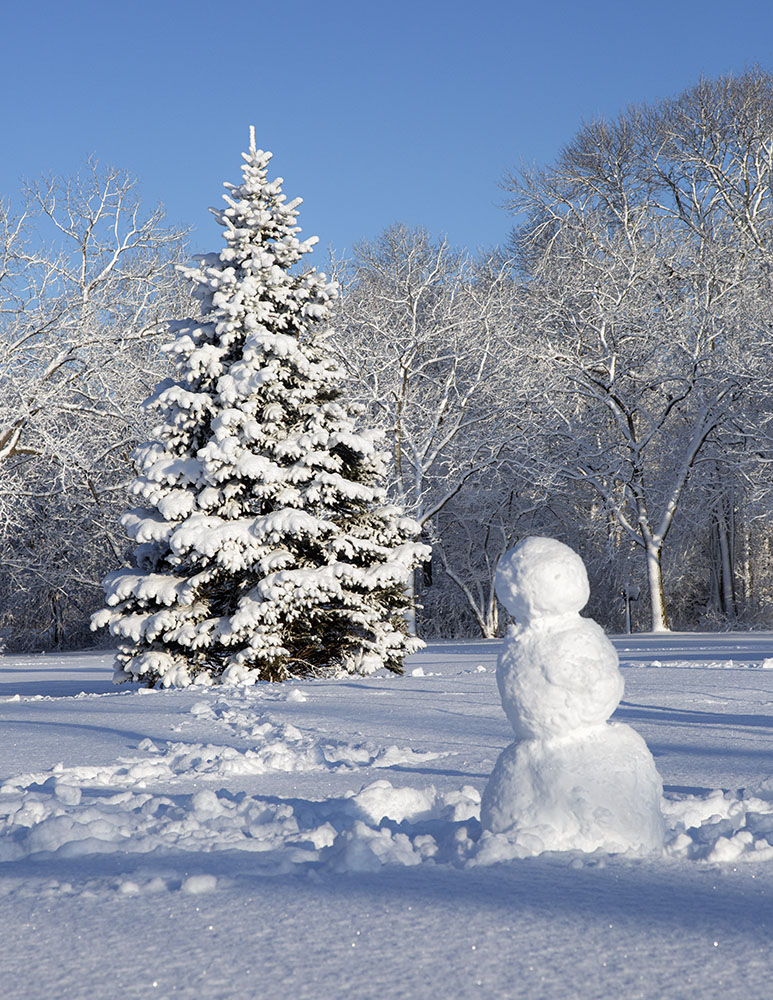 Frosty makes an appearance at Estabrook Park. Milwaukee River Greenway.