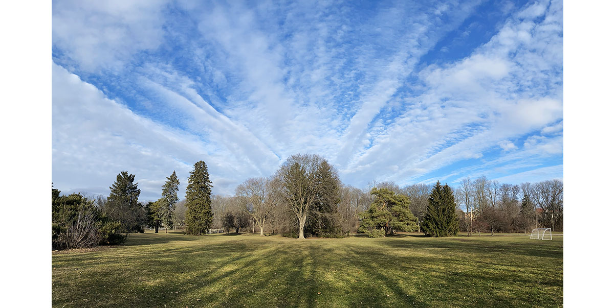 Hoyt Park panorama