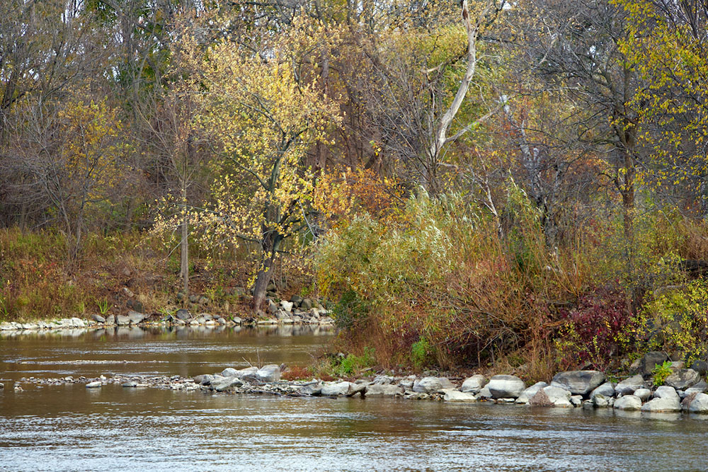 Autumn paints with a broad palette along the river at Estabrook Park.