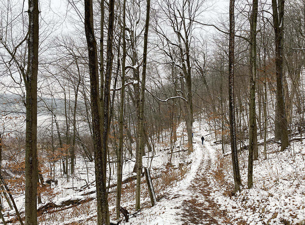 Lakeside Trail in winter.