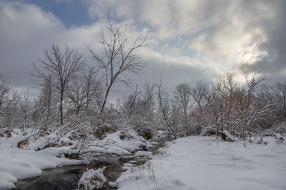 Passing winter storm. Wirth Park, Brookfield.