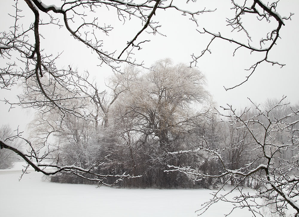 In the gloom of the season. Root River Parkway, Greendale.