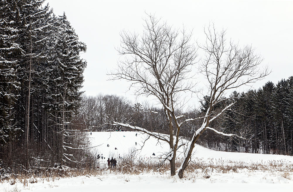 The sledding hill from afar.