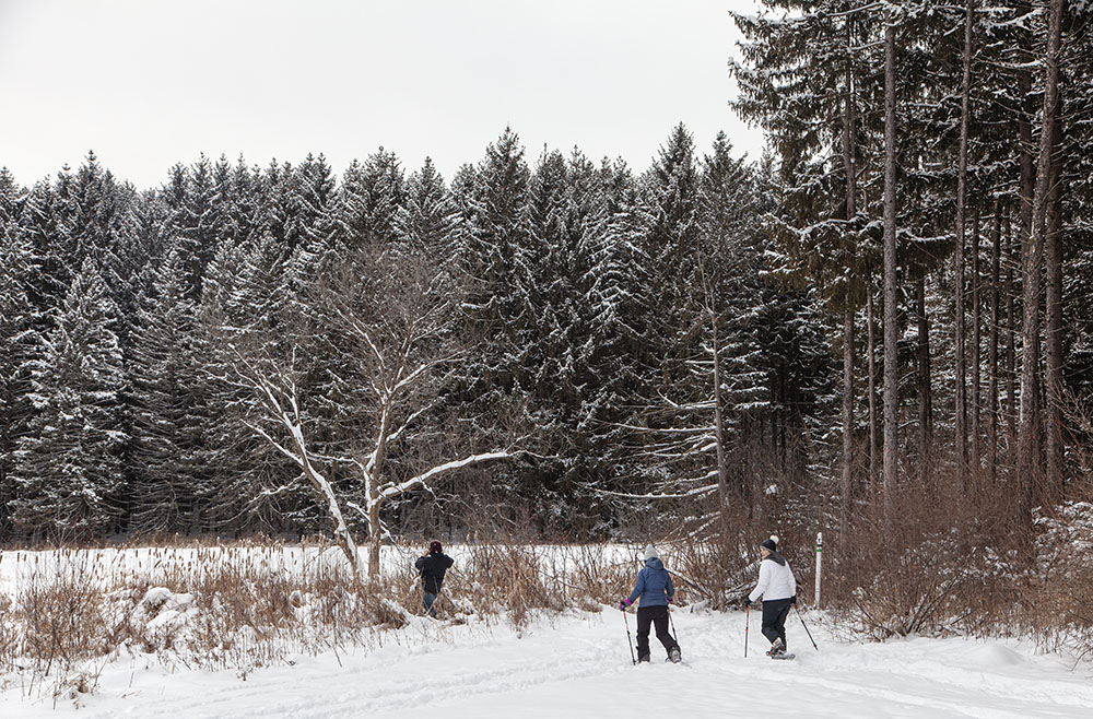 Snowshoers passing a photographer.