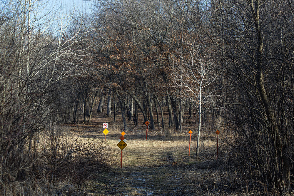 A snowmobile trail without snow, still suitable for hiking. Vernon State Wildlife Area, Mukwonago.