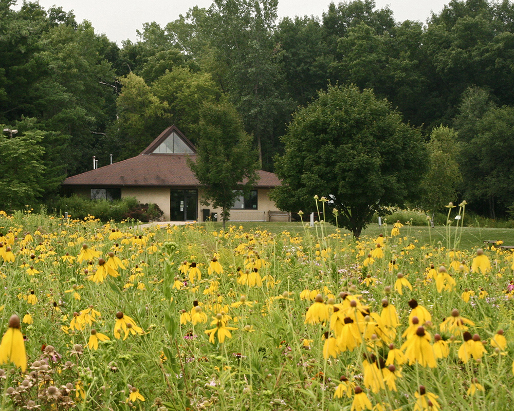 The Pringle Nature Center building seen across a patch of prairie wildflowers.