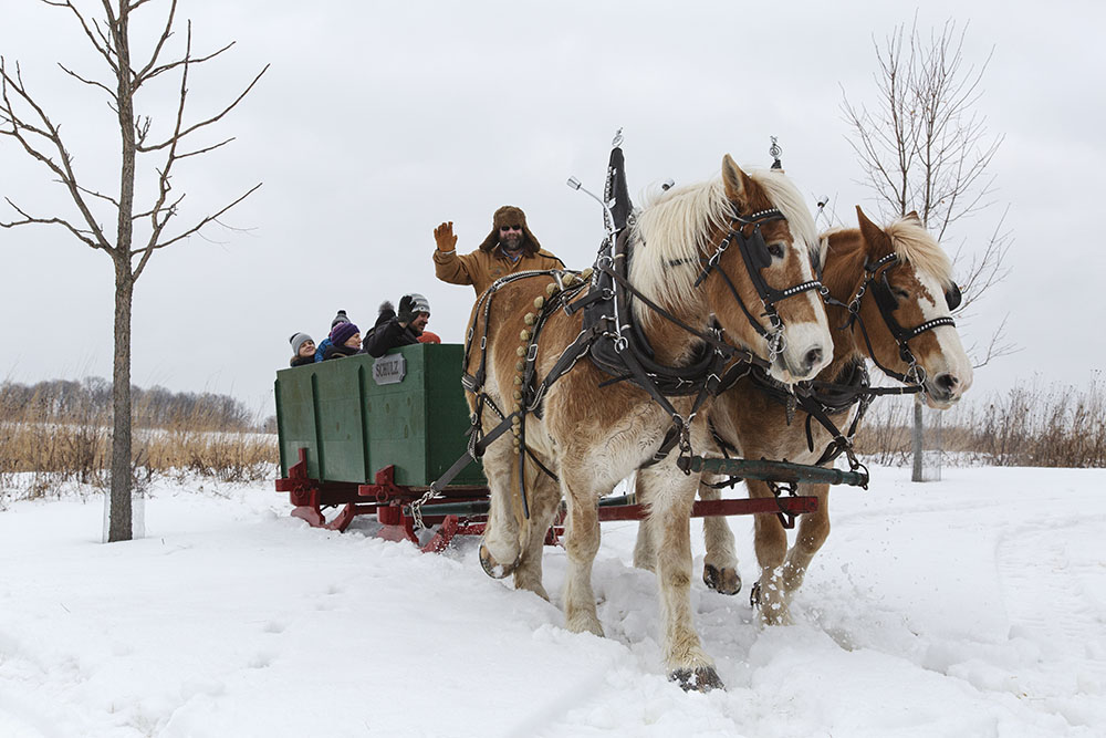 A sleigh ride is among the popular features at the Winter Frolic.